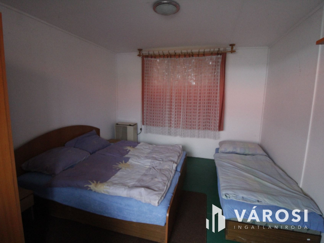 Ez nem üvegtigris, ez jobb! Ez Fapuma