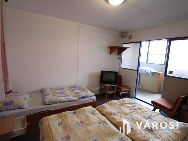 Ez nem üvegtigris, ez jobb! Ez Fapuma