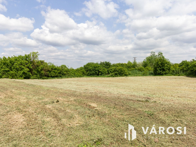 Derekegyházi ipari terület, vállalkozás eladó.