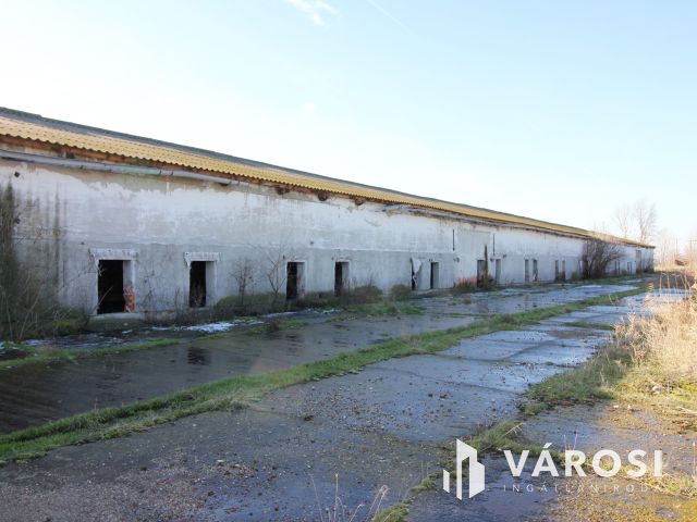 Eladó Major vásárhely határában