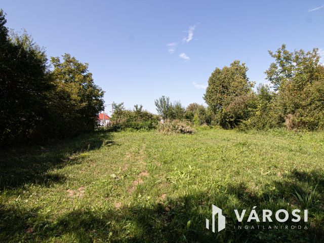 Saroktelek a szlovén határ mellett!