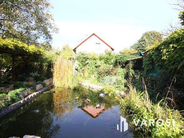 "Paradicsomban" a Kurca parton