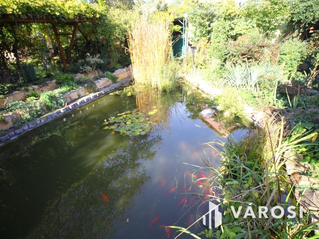 "Paradicsomban" a Kurca parton