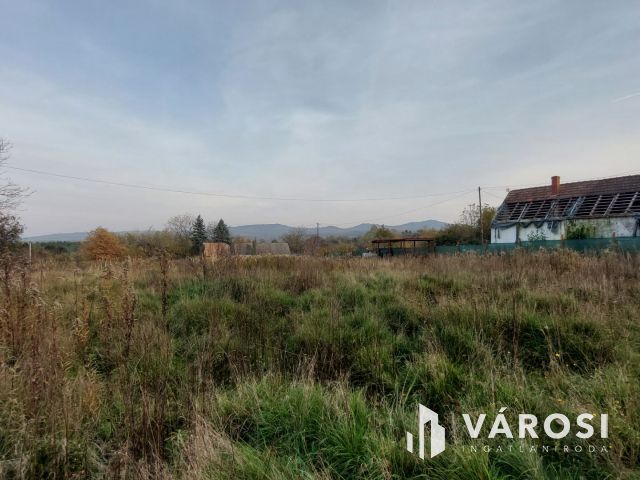 Bazsi szőlő hegyen 1,75 ha terület lakóépülettel eladó