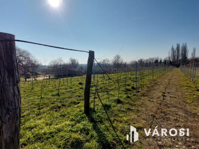 Megosztva 2 ház építésre is alkalmas zártkert Kővágóörsön
