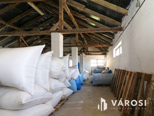 Eladó ipari ingatlan – nagy terekkel és saját kúttal!