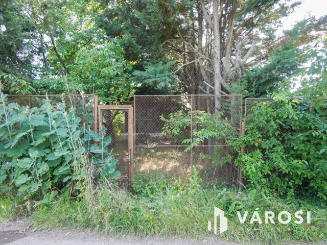 Hangulatos nyaraló Fóton!