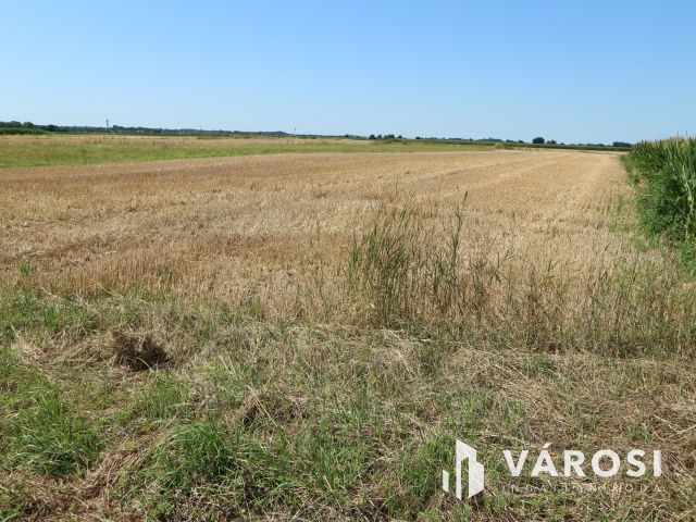 Egyházashollós ,belterületi üres telkek eladók 3x2100m2