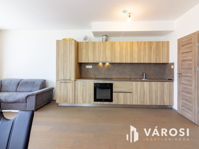 Exclusive penthouse lakás remek kilátással