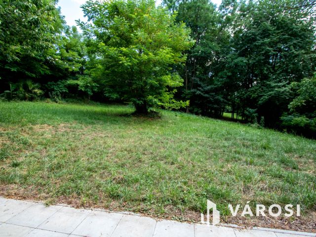 Gosztola hegyi ingatlan, szép nagy területtel eladó!