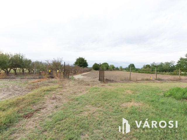 Domaszéki gyümölcsös extrákkal