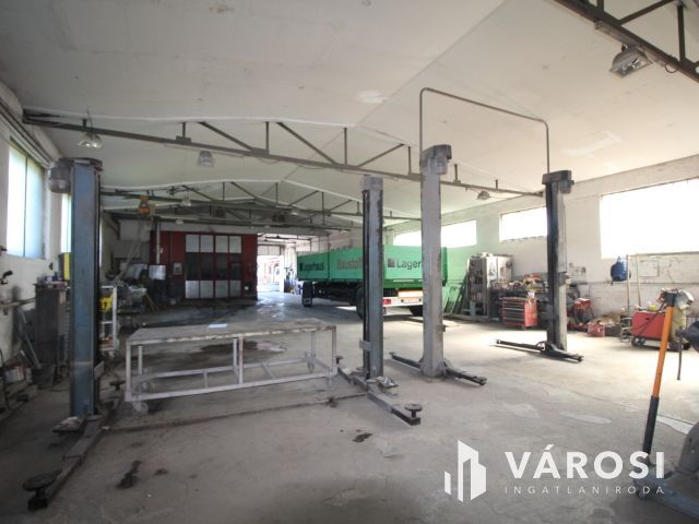 Vállalkozás és lakás a határ mellett.