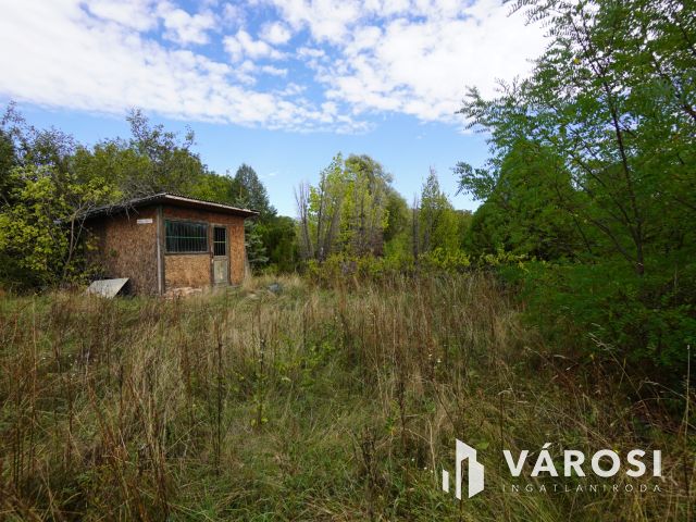 Hatalmas telek eladó Ecseren!