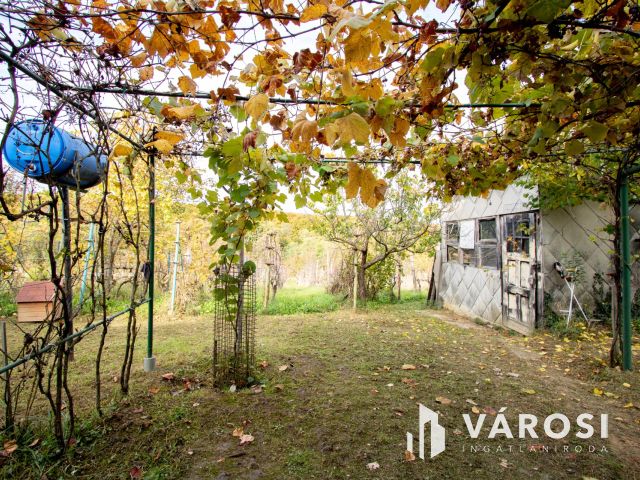 Eladó Lenti hegyi ingatlan, csodás területtel együtt.