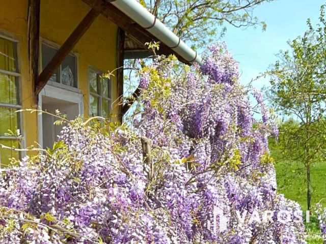 Hangulatos, száraz vályogház, KÖRÖS-PARTI panorámával