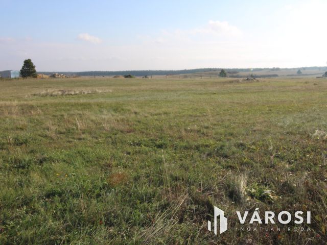 Fejlesztési lehetőség Márkón