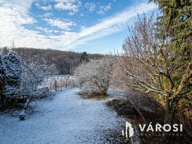 Állandó lakhatásra, de vendégháznak is ideális