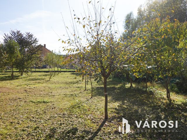 Felújítandó családi ház szenzációs településen!