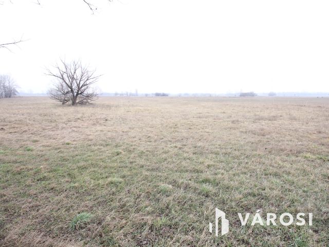 Szeretne passzív jövedelmet dióból?