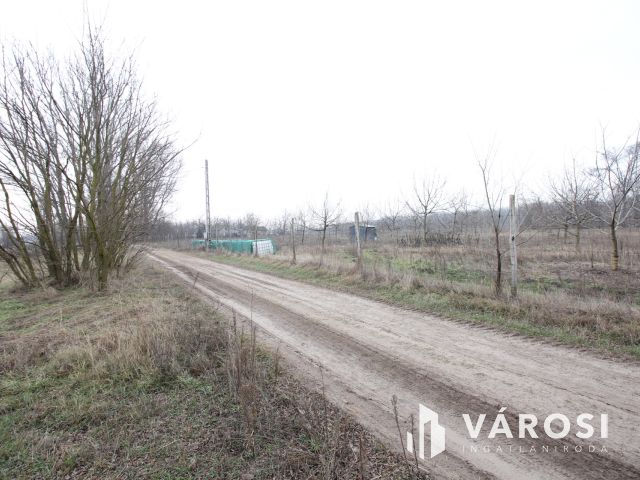 Szeretne passzív jövedelmet dióból?