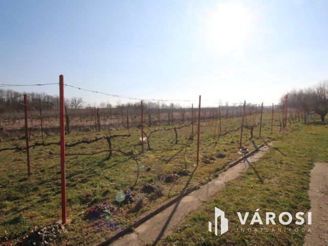 Ház a csend szigetén, Keléden