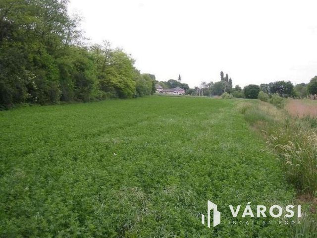 BEFEKTETÉSI LEHETŐSÉG PÁZMÁNDON - 8 TELEK, PANORÁMA