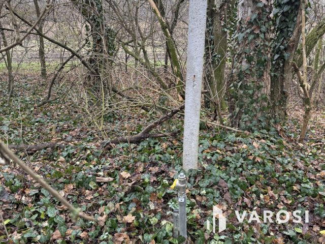 BEFEKTETÉSI LEHETŐSÉG PÁZMÁNDON - 8 TELEK, PANORÁMA