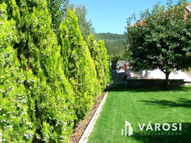 Privát élettér és wellnes-Exkluziv ház a Magdolnavölgyben